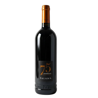 75 Vendemmie Salento IGP Negroamaro 2021 0,75l Flasche