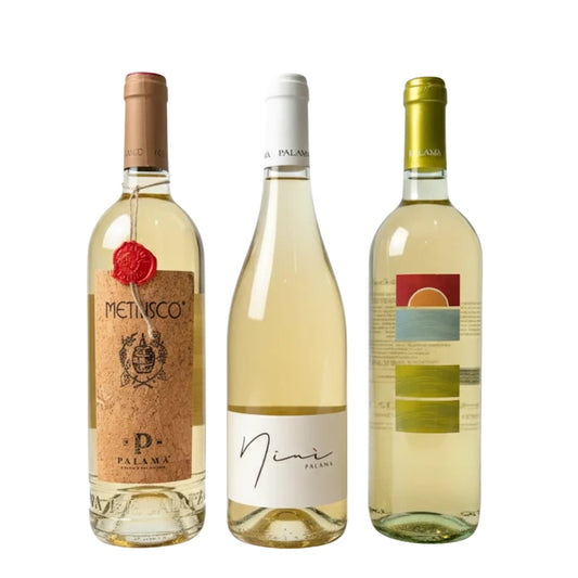 Weisswein-Entdeckungsreise Salento