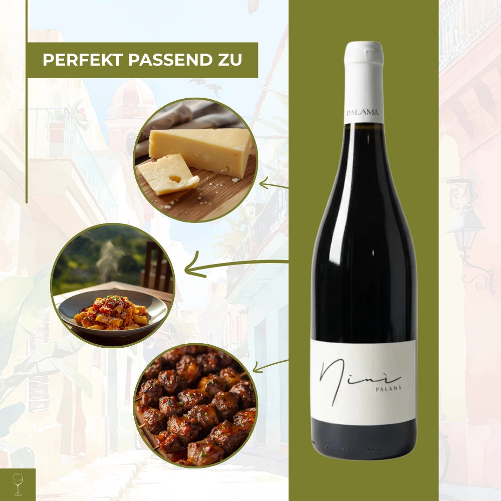 Nini Palama Salento IGP Susumaniello 2024 0,75l Flasche