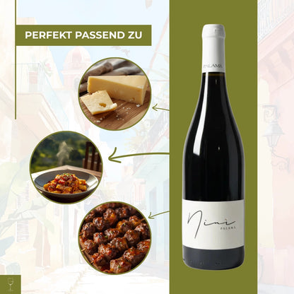 Nini Palama Salento IGP Susumaniello 2024 0,75l Flasche