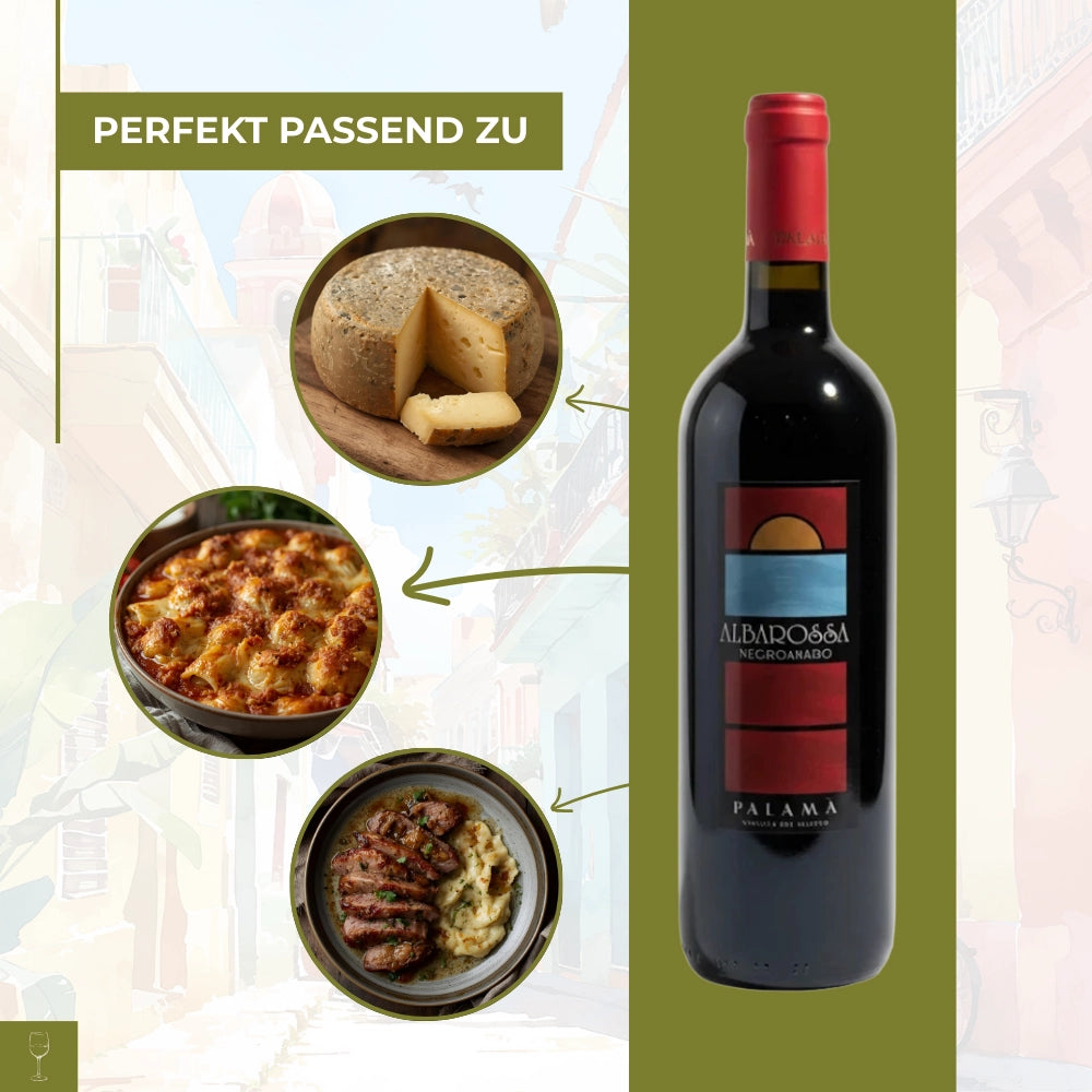 Albarossa Salento IGP Negroamaro 2023 0,75l Flasche