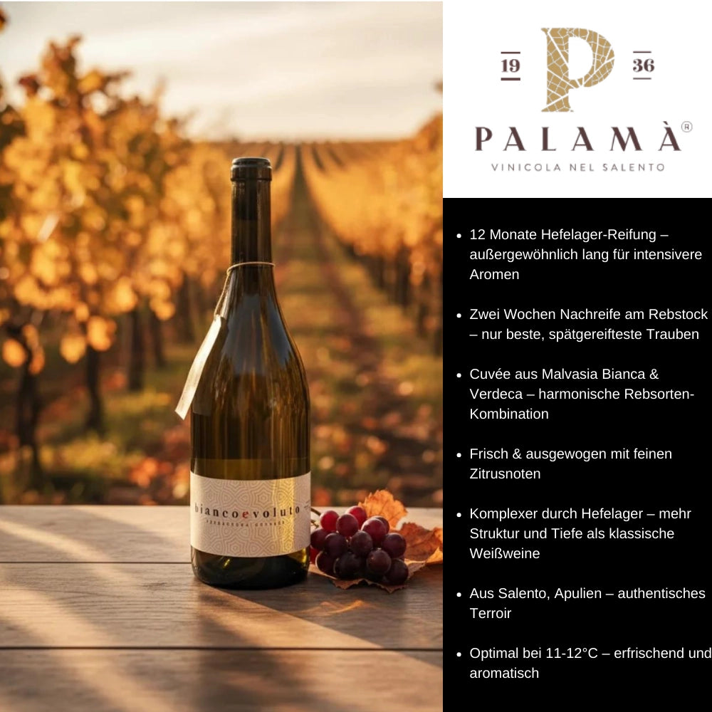 Bianco Evoluto Collezione Privata Salento IGP Verdeca Malvasia Bianca 2020 0,75l Flasche