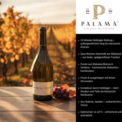 Bianco Evoluto Collezione Privata Salento IGP Verdeca Malvasia Bianca 2020 0,75l Flasche